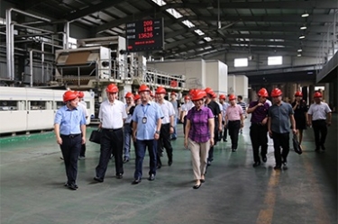 2018年9月12日，全國政協(xié)常委、提案委員會副主任郭庚茂、支樹平率領(lǐng)調(diào)研組蒞臨公司開展調(diào)研